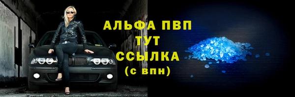 СК Алексин