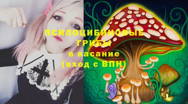 СК Алексин