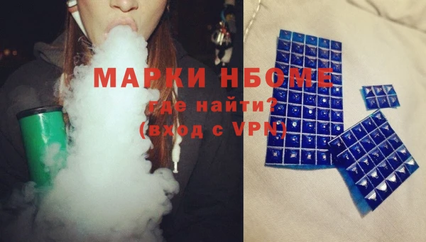 СК Алексин