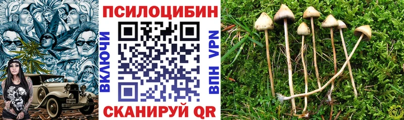 Галлюциногенные грибы Psilocybe сколько стоит Болхов